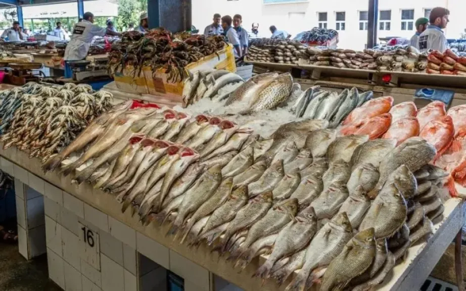 الجمبري بـ230 جنيهًا.. أسعار السمك والمأكولات البحرية بالأسواق اليوم الأحد 4 مايو