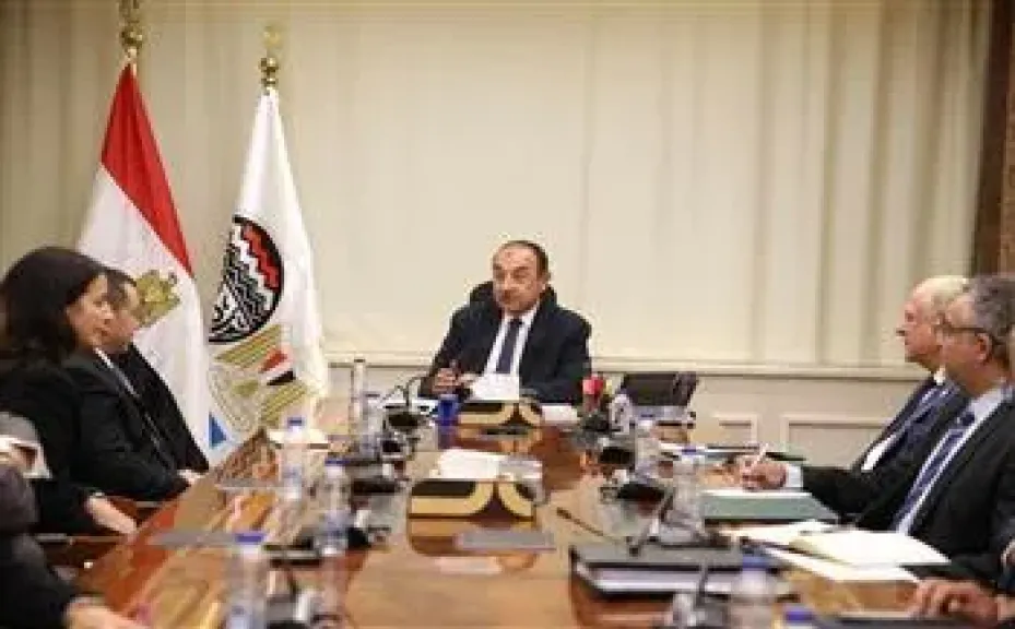 وزير قطاع الأعمال يلتقي وفدًا من «بريتش بتروليوم» لإعادة تشغيل مصنع الأنود بالعين السخنة