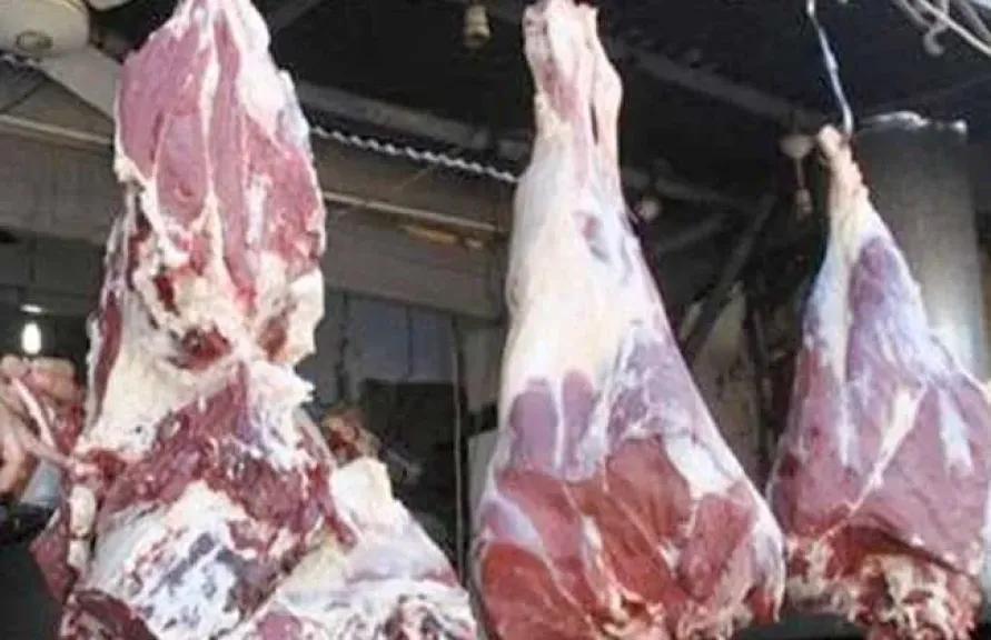 البلدي ب بـ 400 جنيه.. تعرف على أسعار اللحوم في الأسواق والمنافذ الحكومية اليوم الأحد