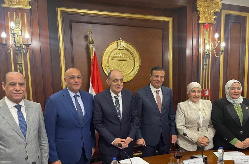 تعاون بين تنمية المشروعات ولجنة المشروعات الصغيرة بمجلس النواب لدعم الشباب
