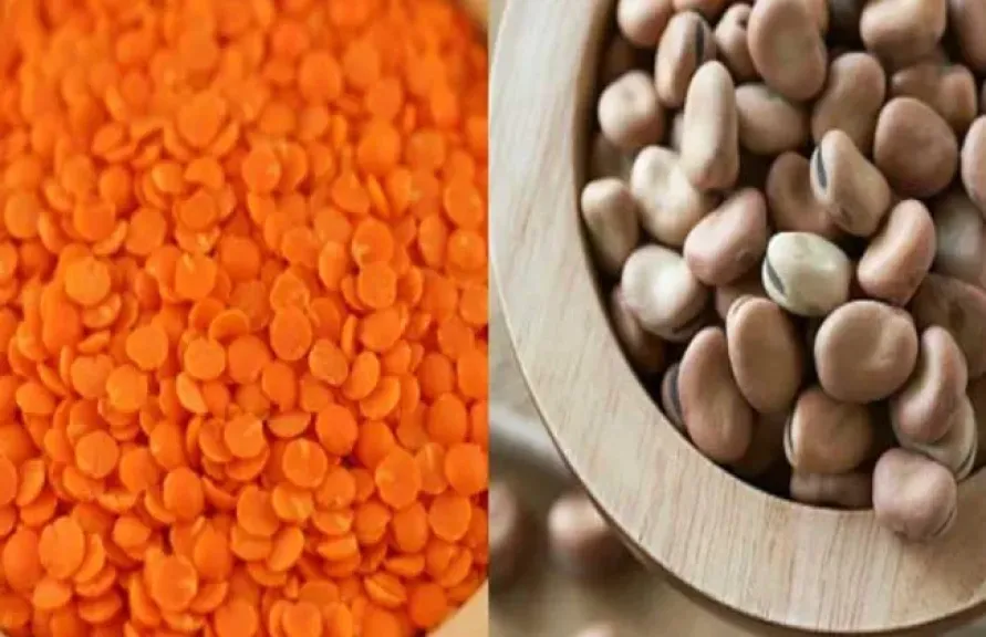انخفاض أسعار الفول والعدس والزيت بالأسواق اليوم الخميس
