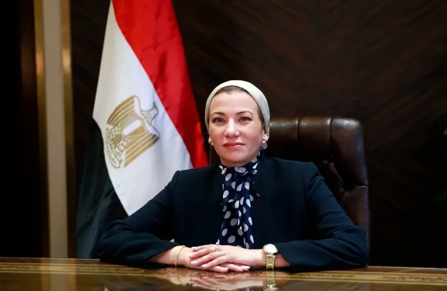وزارة البيئة تتبع أسماك القرش بالأقمار الصناعية