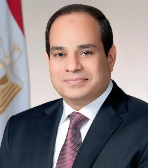 الرئيس السيسي يشيد بجهود شعب مصر فى الذكرى 12 لثورة 30 يونيو