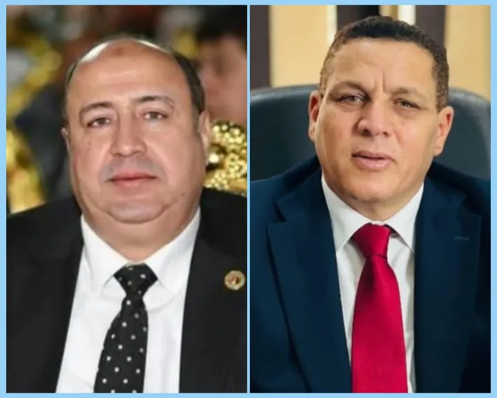 النائب أحمد محسن مبارك والنائب حسن جعفر