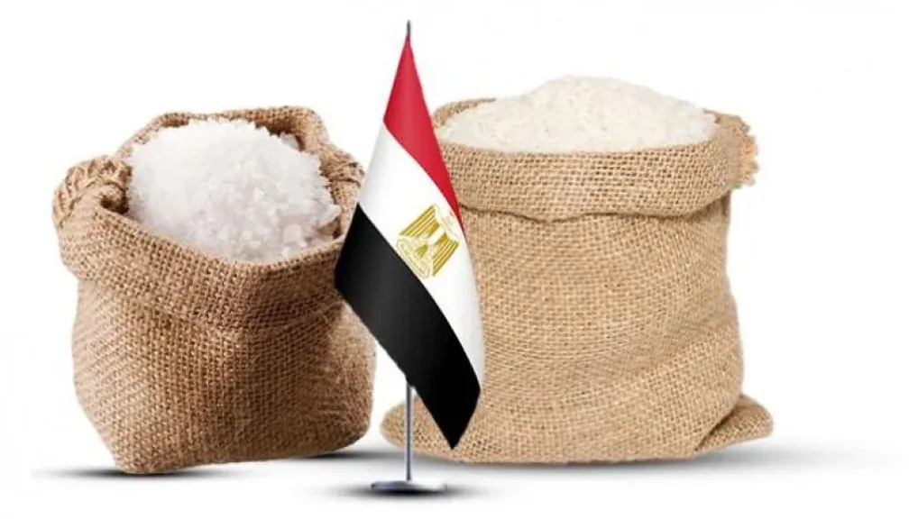 وزير الزراعة: حققنا الاكتفاء الذاتي من السكر والأرز ونسعى لتقليل فاتورة الاستيراد