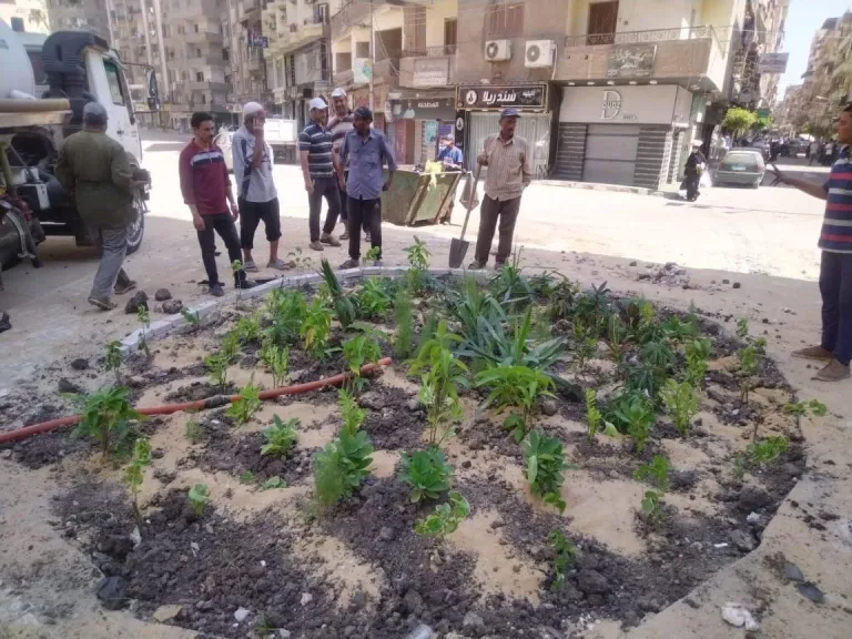 وزيرة التنمية المحلية تتابع المرحلة الرابعة من المبادرة الرئاسية ”100 مليون شجرة”| صور