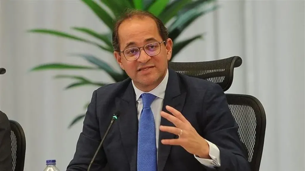 وزير المالية: المسار الاقتصادي لمصر متوازن ومستقر وأصبحنا جاذبين لاستثمارات القطاع الخاص