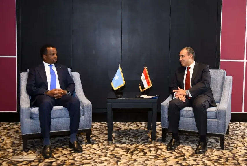وزير الخارجية يجدد التزام مصر بدعم جهود تعزيز الأمن والاستقرار في الصومال ومنطقة القرن الأفريقي| صور
