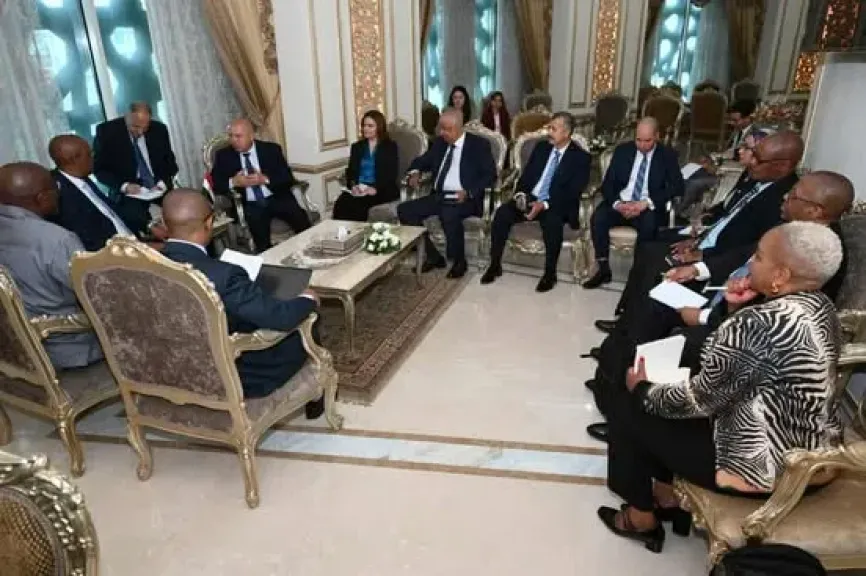 كامل الوزير يعقد اجتماعًا مع وزير الصناعة والتجارة والمنافسة الجنوب إفريقي لبحث تعزيز التعاون المشترك