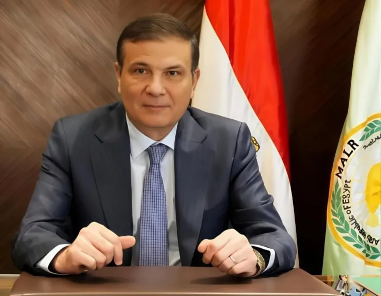 8.2 مليون طن إجمالي صادرات مصر الزراعية حتى الآن