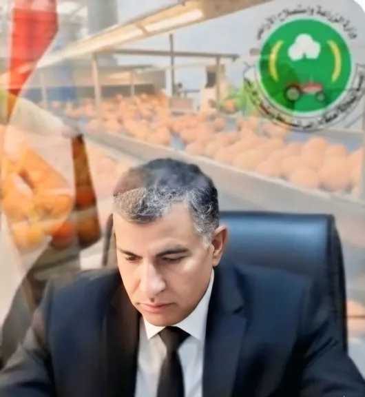 بالتنسيق بين الزراعة والعامة لاستصلاح الأراضى .. دمج عدد من المحاصيل التصديرية فى منظومة الزراعة التعاقدية