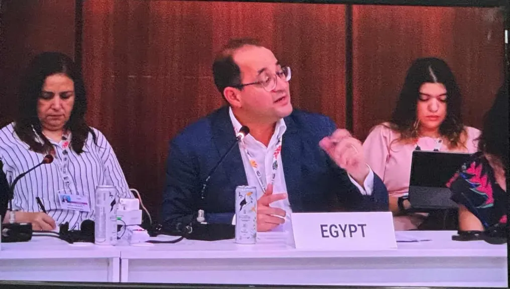 وزير المالية: نستهدف توليد 10 جيجاوات من الطاقة المتجددة والتخلص من 5 جيجاوات من الوقود الأحفوري