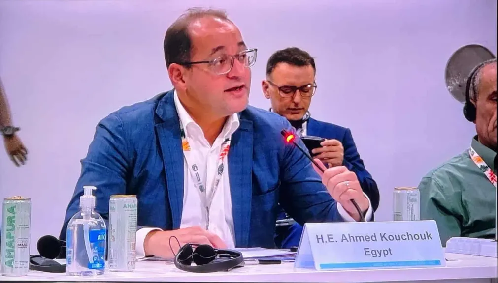 وزير المالية: يجب تبسيط إجراءات وصول التمويل للدول منخفضة ومتوسطة الدخل