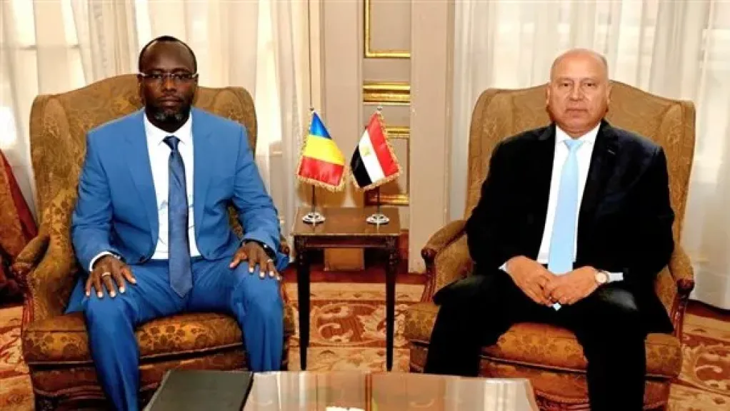 كامل الوزير: ننسق مع القطاع الخاص لإنشاء مزارع حيوانية ومجازر آلية في تشاد