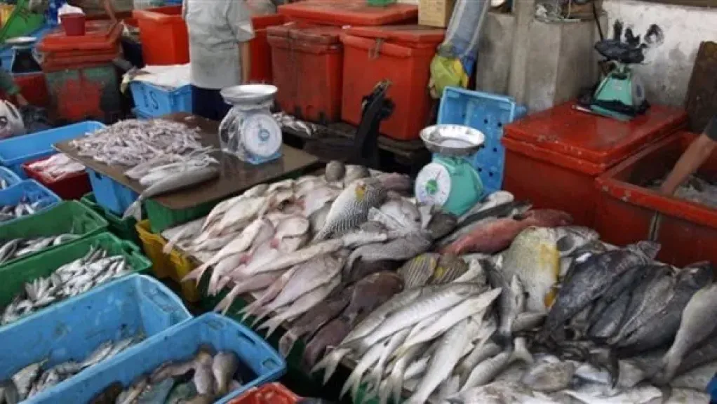 أسعار الأسماك اليوم الثلاثاء 18 نوفمبر 2025 في سوق العبور لتجارة الجملة