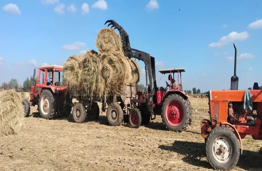 ”الزراعة” تعلن نجاح منظومة جمع وتدوير قش الأرز هذا العام