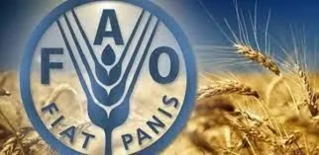 الفاو: أسعار السلع الغذائية الأساسية العالمية تتراجع للشهر الثالث في نوفمبر