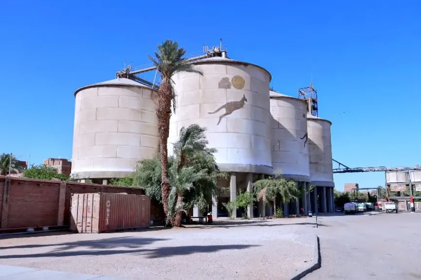 حصاد التموين.. تدشين مشروعات متعددة لتخزين الحبوب واحتياطى إستراتيجى آمن