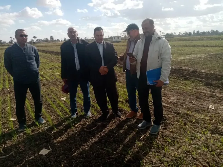 ”الزراعة” تتفقد حقول القمح بجميع المحافظات