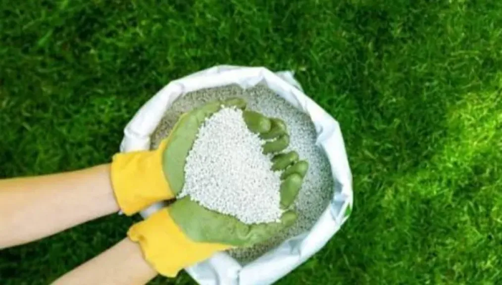 بكارت الفلاح .. لجنة الأسمدة توصى بصرف كامل المقررات السمادية للمزارعين