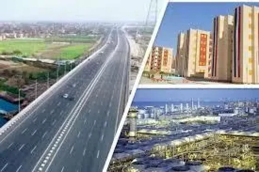 شركات قطاع الأعمال تواصل المساهمة في المشروعات القومية| إنفوجراف