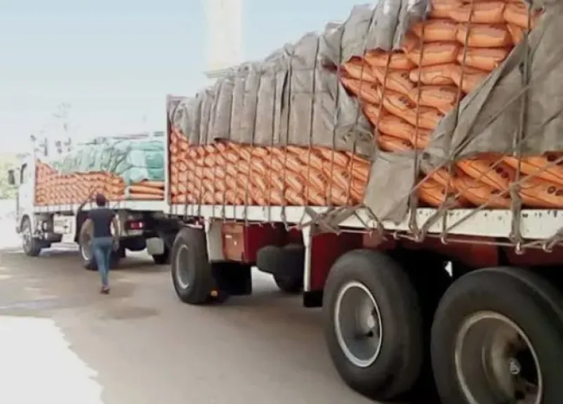 بداية من أول فبراير 2026 .. بدء التحصيل الالكترونى لثمن الأسمدة بالجمعيات الزراعية فى 6 محافظات