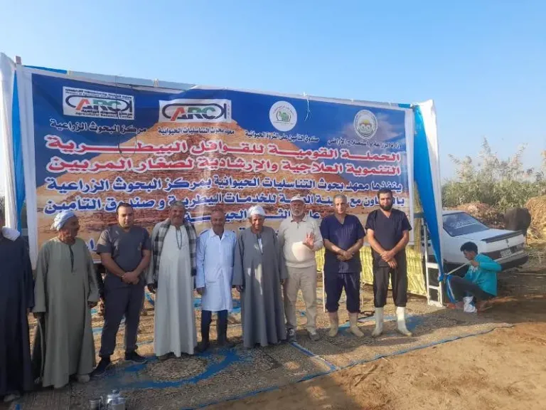 «الزراعة»: سلسلة قوافل بيطرية مجانية ودورات تدريبية مكثفة لدعم مربي الماشية في صعيد مصر