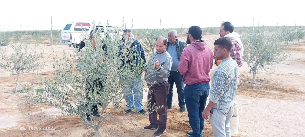 «الزراعة» تواصل تقديم خدمات الدعم الفني والإرشادي لمزارعي التجمعات في سيناء| صور
