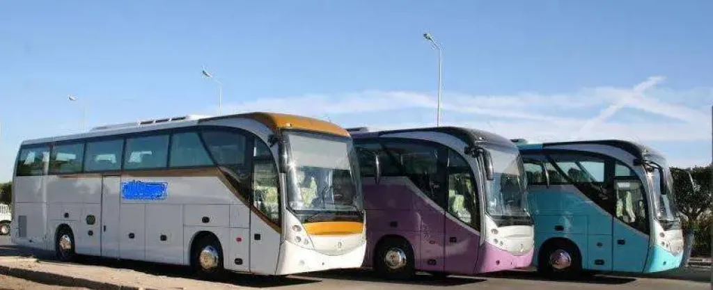 استثناء «4 بنوك» مع إعادة التصنيف.. مسار جديد لاستيراد الأتوبيسات