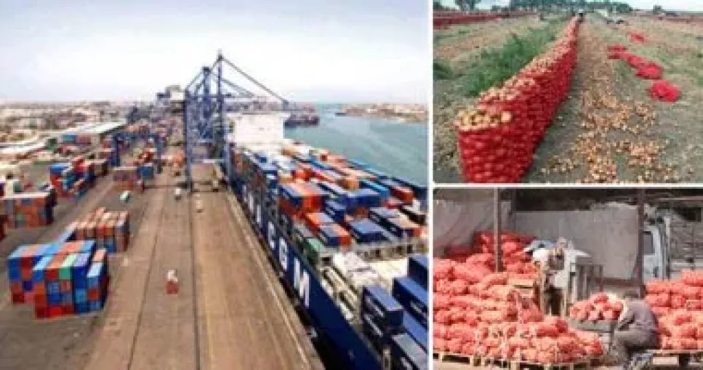 300 ألف طن صادرات غذائية خلال أسبوع.. والسعودية تتصدر الدول المستقبلة