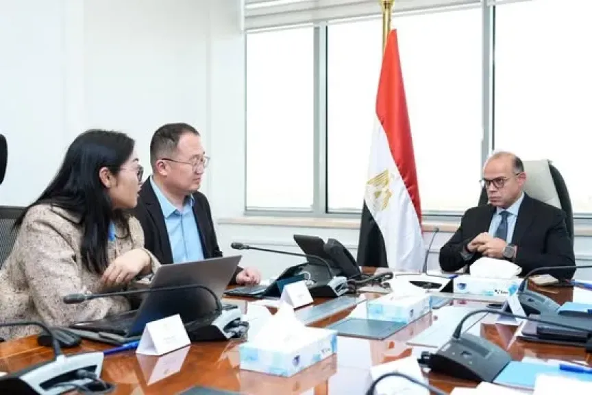 وزير الاستثمار يدرس مشروعًا صينيًا لإنتاج قوالب الإطارات في مصر