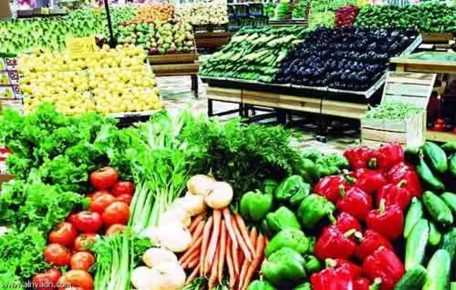 الحكومة تتابع عن كثب تأثير غلق المجال الجوي على الصادرات الزراعية سريعة التلف