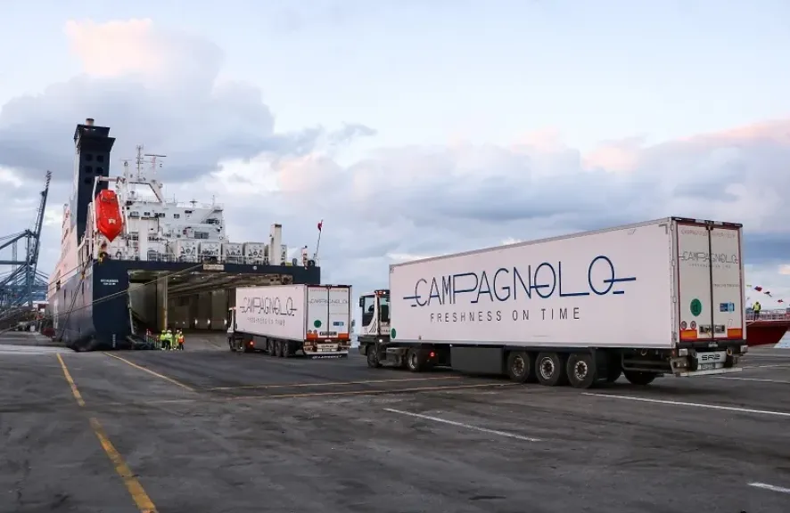 ميناء دمياط: تداول أكثر من 22 ألف طن بضائع واردة و10 آلاف طن صادر خلال 24 ساعة