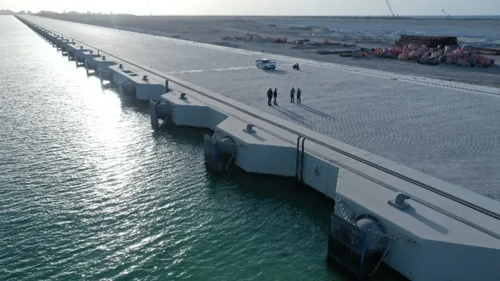 «تحيا مصر2» بميناء الدخيلة.. مشروع ضخم يوفر أكثر من 2000 فرصة عمل ويدعم تجارة الترانزيت |صور