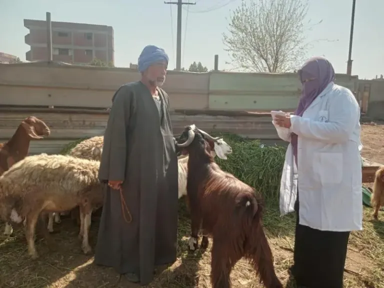 الزراعة: فحص أكثر من 555 ألف طائر و180 ألف رأس ماشية في فبراير 2026