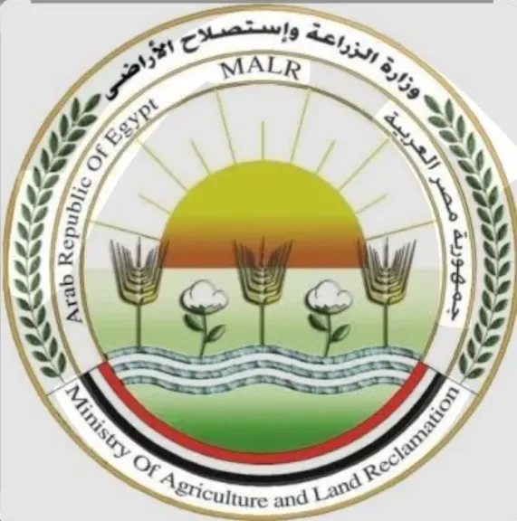 ”الزراعة” تقدم نصائح هامة للمواطنين قبل شراء فسيخ ورنجة شم النسيم