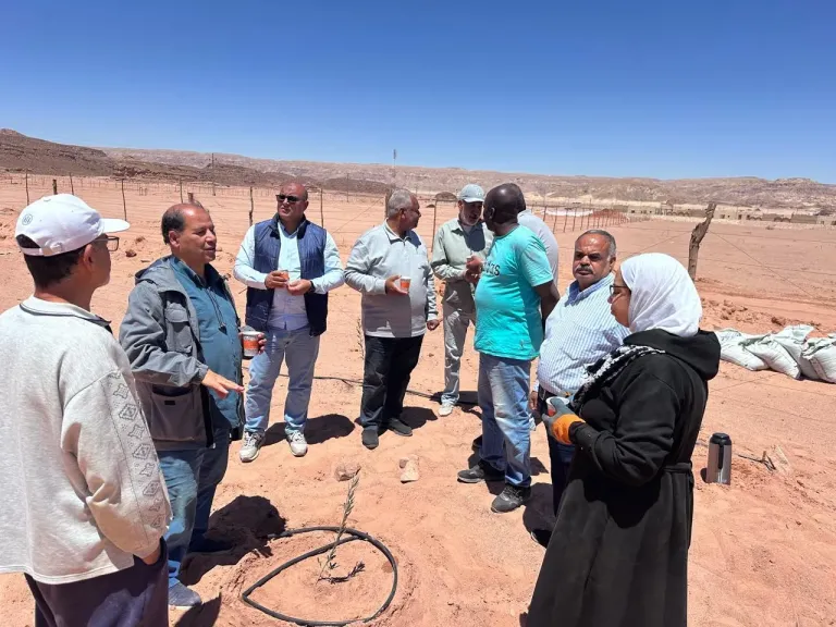 خبراء ”بحوث الصحراء” يتفقدون التجمعات الزراعية بكاترين لتقديم الدعم الفني للمتضررين| صور