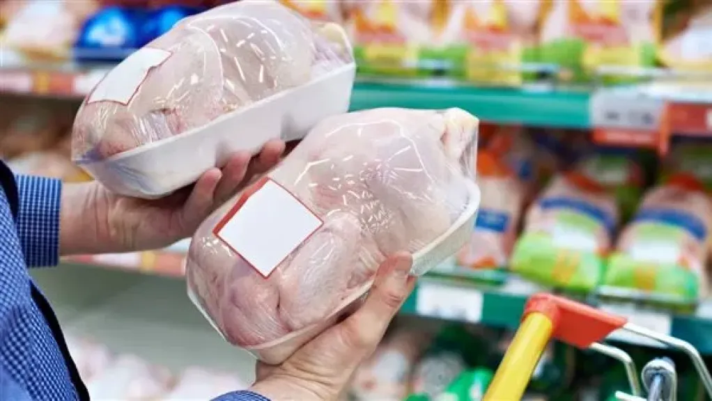 شعبة الدواجن: مصر توقف استيراد الفراخ المجمدة بعد هبوط حاد في الأسعار