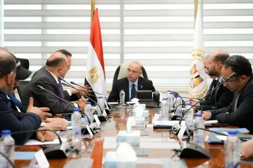 وزير الاستثمار يبحث مع مجموعة صينية خططها التوسعية في مصر وفرص نقل التكنولوجيا المتقدمة