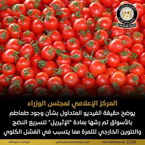 المركز الإعلامي لمجلس الوزراء يوضح حقيقة الفيديو المتداول بشأن وجود طماطم بالأسواق تم رشها بمادة ”الإثيريل” لتسريع النضج والتلوين