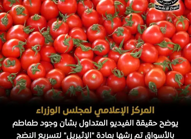 المركز الإعلامي لمجلس الوزراء يوضح حقيقة الفيديو المتداول بشأن وجود طماطم بالأسواق تم رشها بمادة ”الإثيريل” لتسريع النضج والتلوين