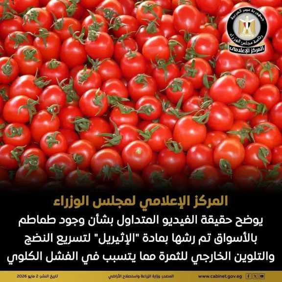 المركز الإعلامي لمجلس الوزراء يوضح حقيقة الفيديو المتداول بشأن وجود طماطم بالأسواق تم رشها بمادة ”الإثيريل” لتسريع النضج والتلوين