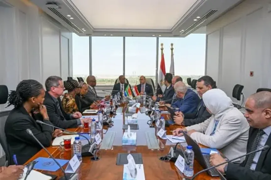 مصر وجنوب إفريقيا تبحثان تفعيل «قواعد المنشأ التراكمية» وشراكة إستراتيجية في قطاع السيارات