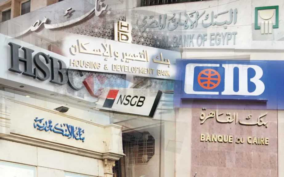 خبير اقتصادي: تطبيق معيار أيزو الدولي للتحويلات البنكية أكثر أمانا ودقة ليتكامل مع أنظمة المدفوعات الإقليمية