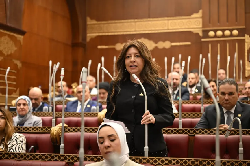 النائبة سوزي سمير: رؤية الرئيس السيسي في تنزانيا تعزز الربط التجاري واللوجستي بين مصر وشرق أفريقيا