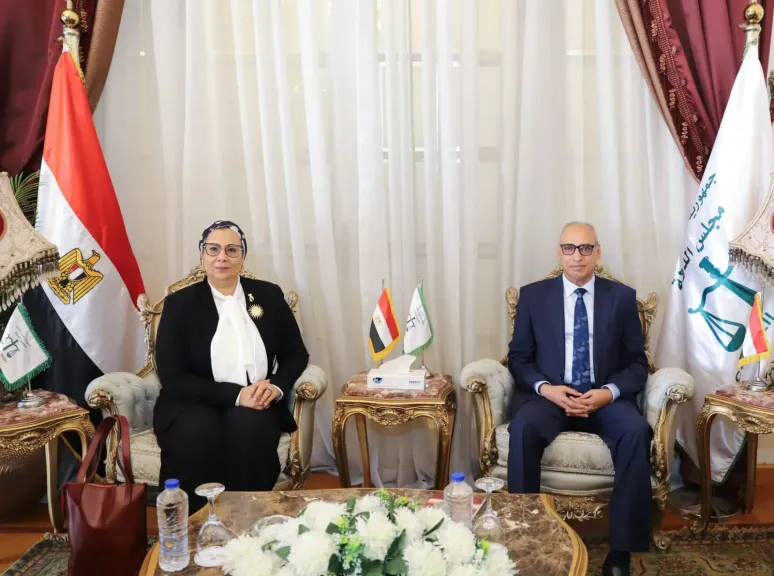 رئيس مجلس الدولة يستقبل رئيسة المجلس القومي للمرأة لتقديم التهنئة| صور