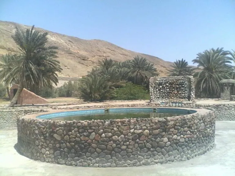 التأمين الصحي الشامل والسياحة العلاجية والمستشفيات الذكية.. محاور مؤتمرغرفة الرعاية الصحية