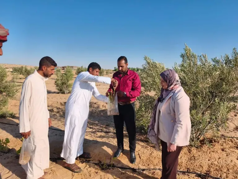 الزراعة تستعرض الجهود والأنشطة البحثية والتنموية لمركز بحوث الصحراء خلال يوليو 2026| صور