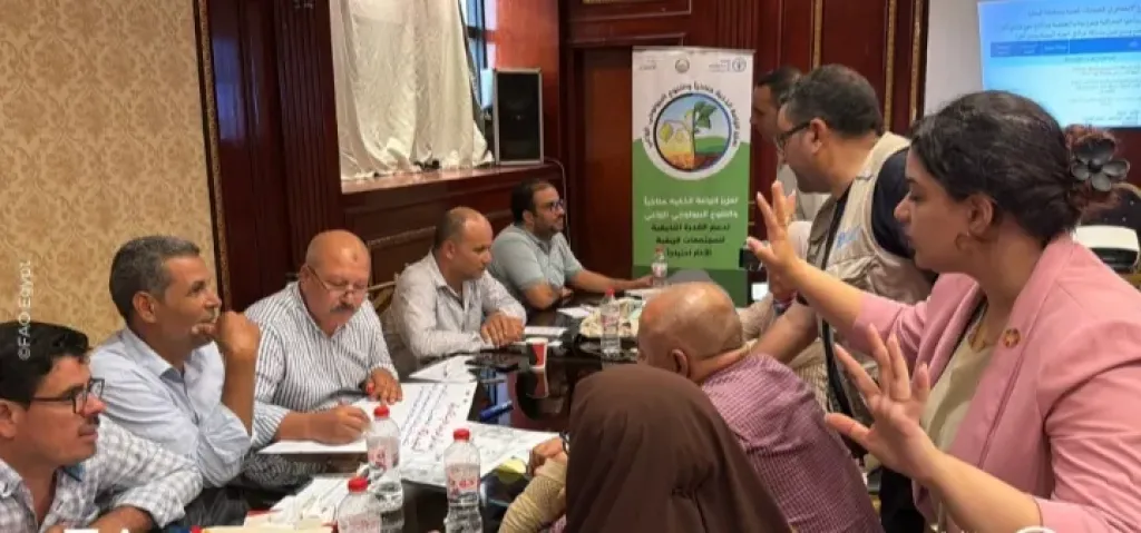 بمشاركة 25 من المتدربين .. ”الفاو” تنظم تدريبا لرفع قدرات مزارعى البحيرة
