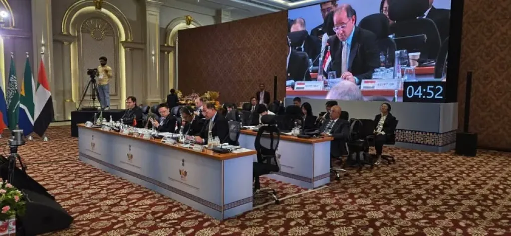 كجوك: «بنك التنمية الجديد» يمكن أن يعمل على تعبئة الاستثمارات.. وسد فجوات تمويل التنمية